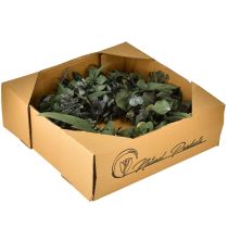 tételeket Eukaliptuszból készült természetes koszorú Ø35cm tartósított illatos dekoráció