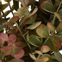 tételeket Mű eukaliptusz koszorú őszi dekoráció eukaliptusz Ø36cm