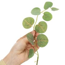 tételeket Dekoratív eukaliptusz ág, ideális asztaldísz, 120 cm