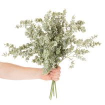 tételeket Mesterséges eukaliptusz ág, díszág vázákba és csokrokhoz, 49 cm, 4 darab