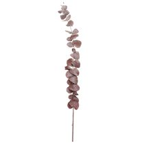 tételeket Eukaliptusz ágak, tartósított eukaliptusz, szárított virágok, piros, 75 cm, 150 g