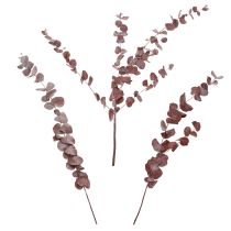 tételeket Eukaliptusz ágak, tartósított eukaliptusz, szárított virágok, piros, 75 cm, 150 g