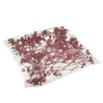 tételeket Eukaliptusz ágak vörös matt natúr dekoráció egzotikus 25 darab