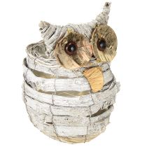 tételeket Bagoly ültetéshez fehér 23cm