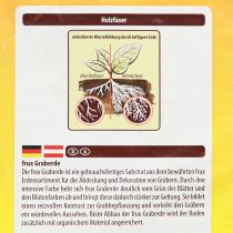 tételeket FRUX talaj sírföld (10 liter)