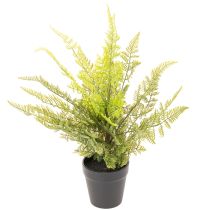 tételeket Műpáfrány cserépben beltéri zöldnövénynek, 40cm