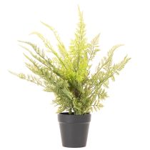 tételeket Műpáfrány cserépben beltéri zöldnövénynek, 40cm