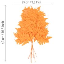 tételeket Szárított, tartósított páfránylevelek virágkötészethez és őszi dekorációhoz, 42 cm, 10 darab
