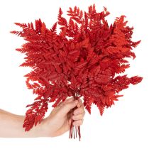 tételeket Tartósított és festett páfránylevelek, igazi páfrány őszi virágdíszekhez, 42 cm, 10 darab