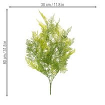 tételeket Műpáfrány függőnövény, dekoratív, figyelemfelkeltő belső terekbe, modern kiegészítők, 80 cm
