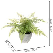 tételeket Mesterséges páfrány virágcserépben nappaliba és irodába, 35 cm
