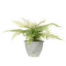 tételeket Mesterséges páfrány virágcserépben nappaliba és irodába, 35 cm