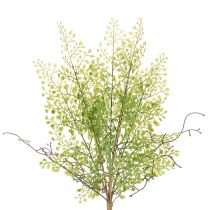 tételeket Műzöld ruscus ág virágdíszítéshez, 41cm