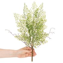 tételeket Műzöld ruscus ág virágdíszítéshez, 41cm