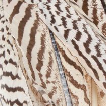 tételeket Fácán toll kézműves barna bézs natúr 20cm 20db