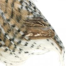 tételeket Erdei bagoly, őszi dekoráció, díszbagoly, Halloween H16cm