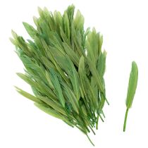 tételeket Dekoratív tollak stílusos hangulathoz és lenyűgöző dekorációhoz 10 cm