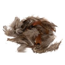 tételeket Tollak sokoldalú kézműves ötletekhez, kreatív tervezési és dekorációs ötletekhez, 5 cm, 3 g