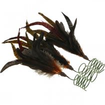 tételeket Színes tollas díszítés drótrugós rugós dekoráció H35cm 3db