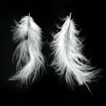 Feathers White Valódi madártoll húsvéti díszek díszítésére 20g
