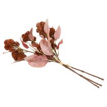 tételeket Kövér Tyúk Red Sedum Stonecrop Művirágok 41cm 3db