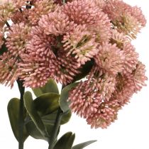 tételeket Stonecrop Pink Sedum Stonecrop Művirágok H48cm 4db