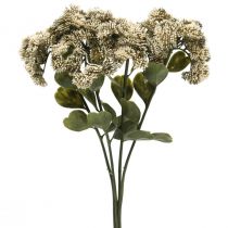 Stonecrop krém sedum stonecrop művirág 48cm 4db