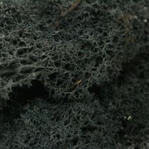 Dekoratív moha Fekete Rénszarvas moha kézműves 400g