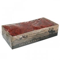 tételeket Dekoratív Moss Red Siena natúr moha kézművesekhez szárítva, festve 500g