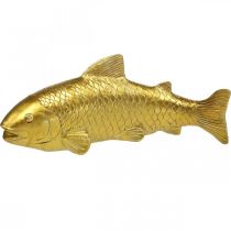Dekoratív hal lerakható, halszobor polirezin arany nagy L25cm