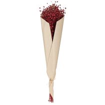 tételeket Len bordói vörös szárított dekorációs szárított virágok H55cm 80g