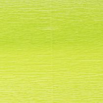 tételeket Virágüzlet krepp papír május zöld 50x250cm