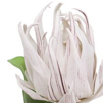 Habvirág fehér, lila 12cm L30cm 1db