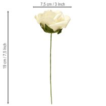 tételeket Habszivacs rózsák szárvirágokkal, krémszínű Ø7.5cm 18 db