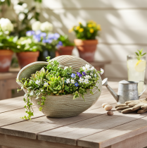 tételeket Kagylómintás kerámia tál elegáns nappali dekorációhoz, 23 cm