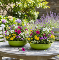 tételeket Ültetőtálca a nappali vonzó növénydekorációjához, 29 cm, 2 darab