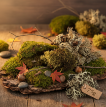 tételeket Dekoratív moha kézműveskedéshez, vegyes zöld és világoszöld természetes moha, 75g