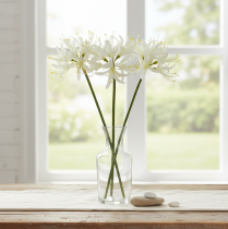 tételeket Nerine Guernsey Liliom Művirág Fehér Sárga Ø15cm L65cm