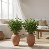 tételeket Szárított Lagurus (nyúlfarkfű) 65-70cm 100g