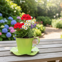 tételeket Dekoratív teáscsésze fémből, tányérral, világoszöld, Ø12, magasság10 cm, 8 db