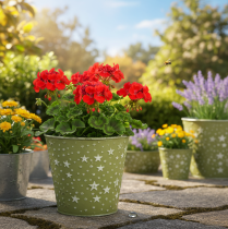 tételeket Ezüstzöld virágtartó, fém virágcserép csillagokkal, Ø14cm