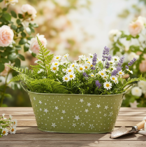 tételeket Ovális fémtál csillagokkal és fülekkel, zöld, 31×16cm, M12.5cm