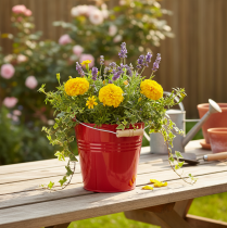 tételeket Dekoratív fém vödör/ültető, piros, Ø22cm, M21.5cm, 6L