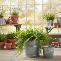 tételeket Vintage díszes fém vödrös virágtartó/cserép, Ø22cm, M20cm