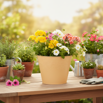 tételeket Fém virágtartó, pasztell narancssárga, Ø20cm M16cm