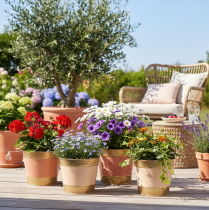 tételeket Fém kaspó/virágcserép, Ø17cm M14.5cm, 4 darab