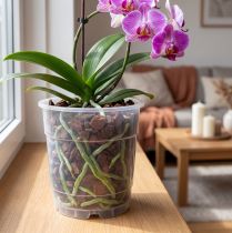 tételeket Átlátszó orchidea kaspó Ø15cm 10db
