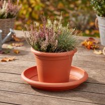 tételeket "Linda" alátét Ø30cm terrakotta