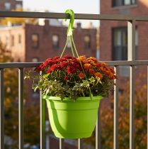 tételeket Függesztett kosár 25cm zöld