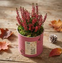 tételeket Kaspó, díszcserép, kerek, lila, fém, vintage dekoráció, Ø8cm, M7.5cm